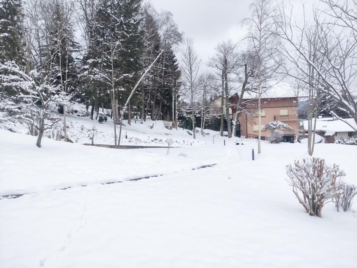 Le Manoir Au Lac Gérardmer Exterior foto